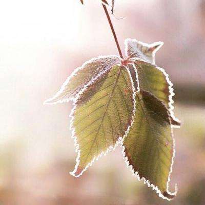 365体育亚洲官方入口app下载截图